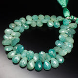 12mm Matched Pair, Faceted Pear Shape Briolettes Amazonite, Amazonite, Amazonite Briolette