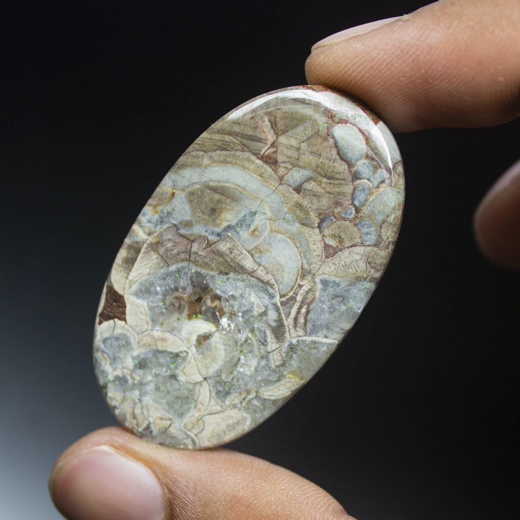 49.5 carats, 47x28mm, Natural Crazy Lace Agate Smooth Oval Cabochon Loose Gemstone - Jalvi & Co.