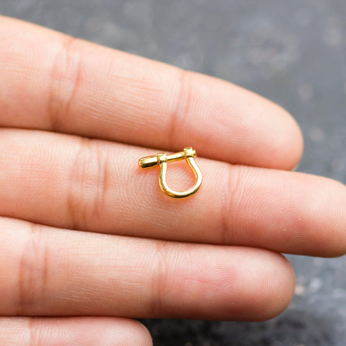 https://jalviandco.com/cdn/shop/products/carabiner-horse-shoe-screw-solid-gold-clasp-charm-holder-screw-clasp-u-shape-oval-clasp-simple-oval-shaped-clasps-gold-clasp-2_500x500.jpg?v=1701172702