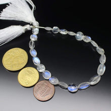 Load image into Gallery viewer, Natural Ceylon Blue Moonstone Faceted Oval Gemstone Beads Strand 8&quot; 7mm 12mm - Jalvi &amp; Co.