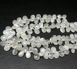 Natural White Moonstone Faceted Briolette Pear Drop Beads Strand 10